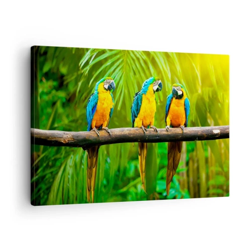 Vászonkép - Három színes papagáj trópusi zöld háttér előtt - 70x50cm - És hallottad, hogy ő…? - Modern fali dekoráció nappalihoz és hálószobához ARTTOR