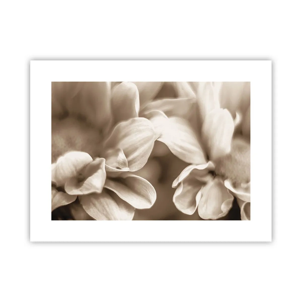 Poszter - Gyengéd, mint egy mosoly - 40x30 cm