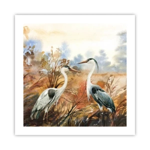 Poszter - Hová ősszel? - 50x50 cm