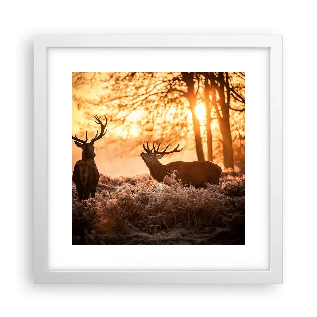 Poszter fekete keretben - Vadász álma - 30x30 cm