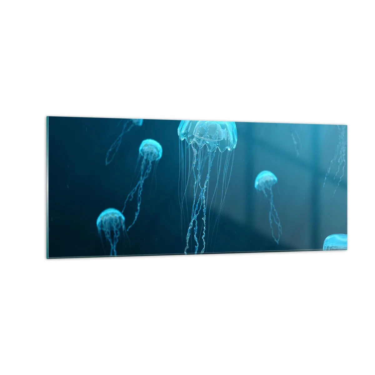 Üveg kép - Óceáni tánc - 100x40 cm