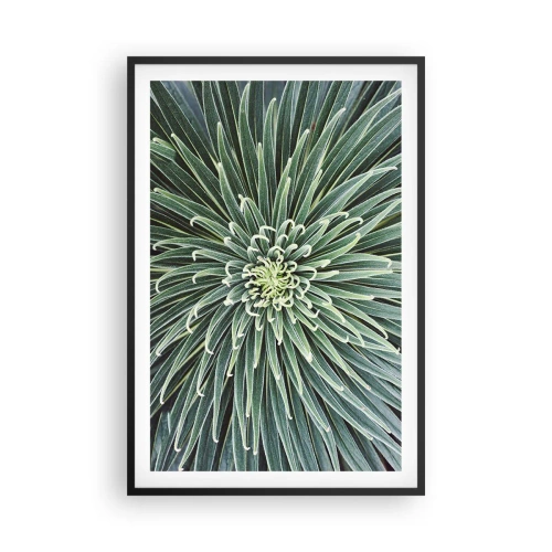 Poszter fehér keretben - Csillag születik - 61x91 cm