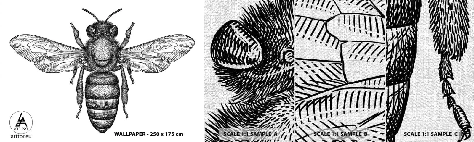 Fotótapéta Minta Premium Canvas - Rovar portré - Méh, Rovar, Minimalista - 100x30 cm