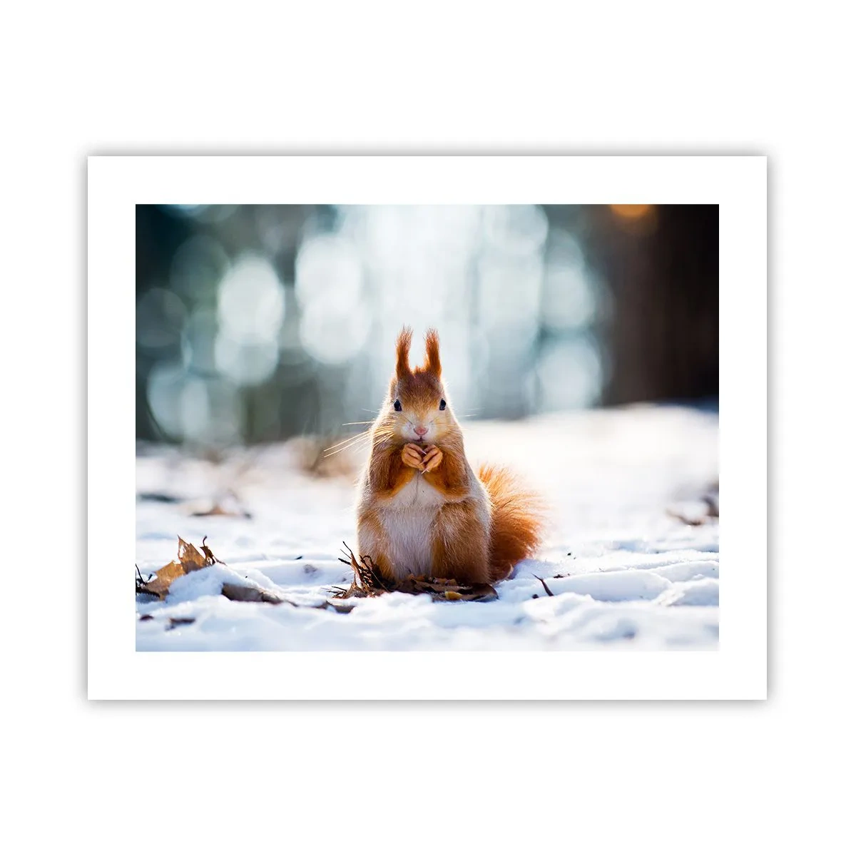 Poszter - Mit nézel? - 50x40 cm