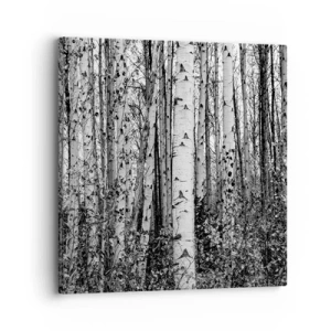 Vászonkép - Nyírfa oszlopsor - 30x30 cm