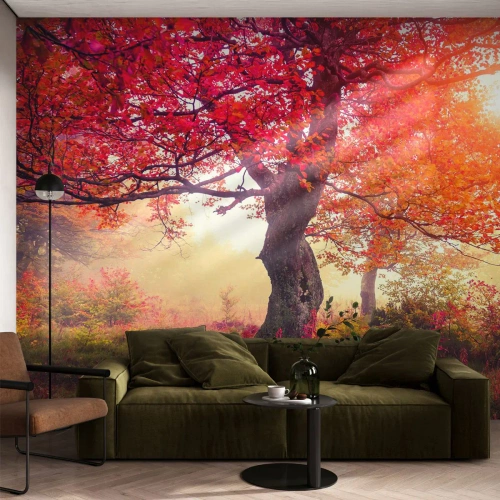 Öntapadós Fotótapéta Deluxe Sticker - Virágzás őrülete - Tájkép, Park, Virágok - 200x140 cm