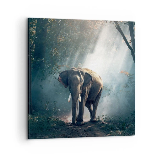 Vászonkép - Nyugodt séta - 50x50 cm