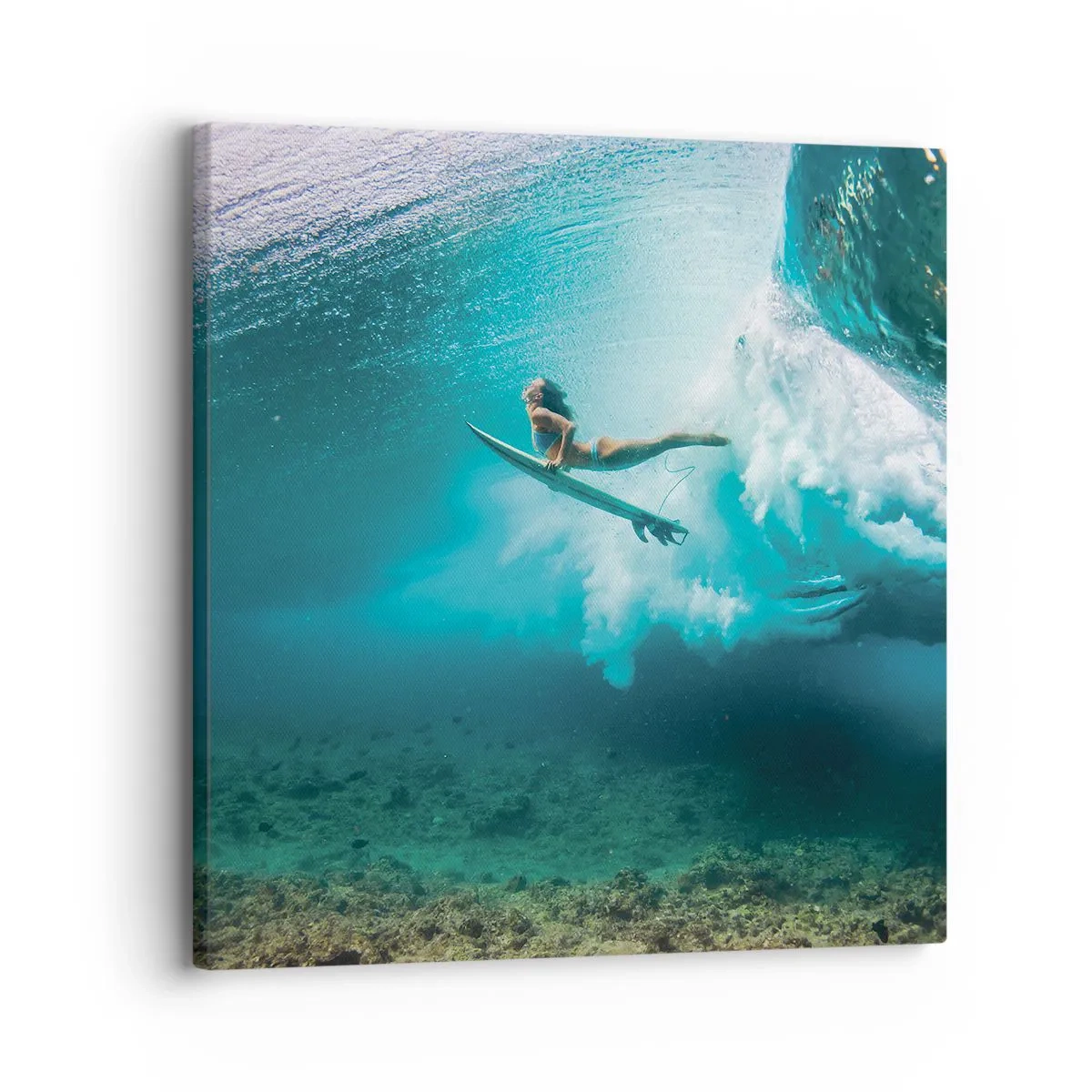 Vászonkép - Vízalatti világ - 30x30 cm