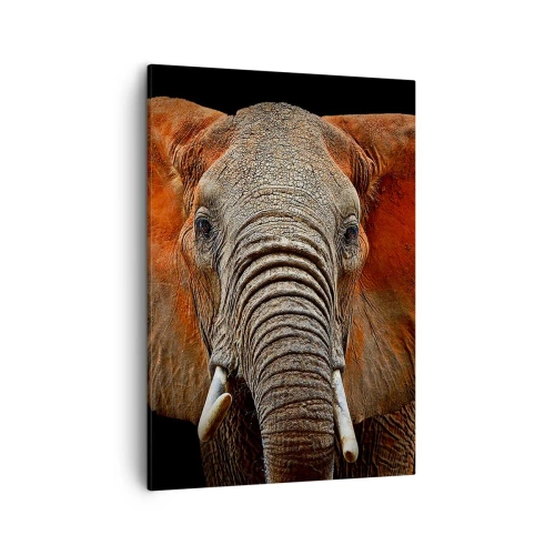 Vászonkép - Én vad vagyok, és te? - 50x70 cm