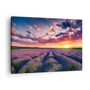 Vászonkép - Levendula mező naplementekor, színes égbolttal - 70x50cm - Levendula világ - Modern fali dekoráció nappalihoz és hálószobához ARTTOR