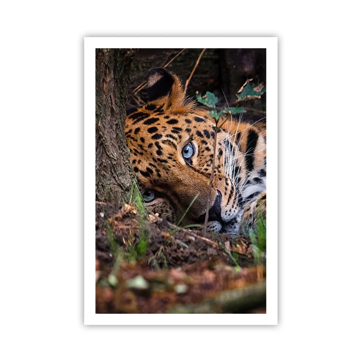 Poszter - Bízz bennem - 61x91 cm