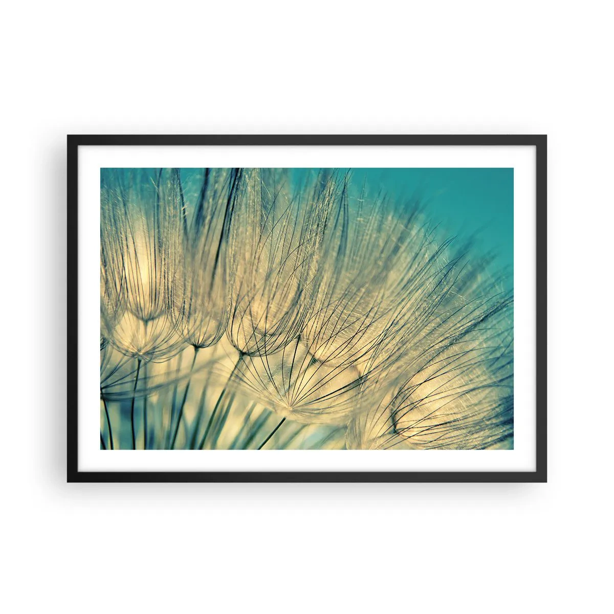 Poszter fehér keretben - A szélre várva - 70x50 cm
