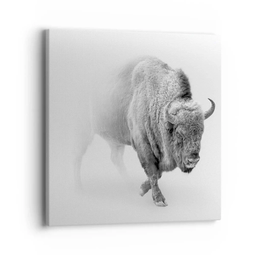 Vászonkép - A préri királya - 40x40 cm