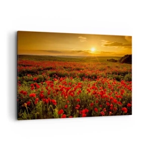 Vászonkép - Susogó rétek hullámai között, a virág özön között - 120x80 cm