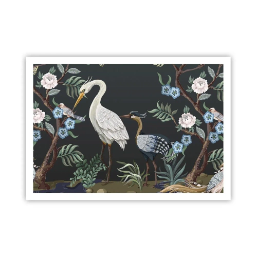 Poszter - Madar parádé - 100x70 cm