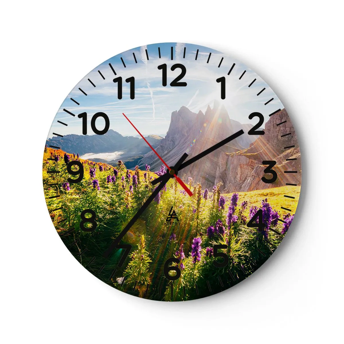 Falióra, Óra - A gyógynövények titkos élete - 30x30 cm