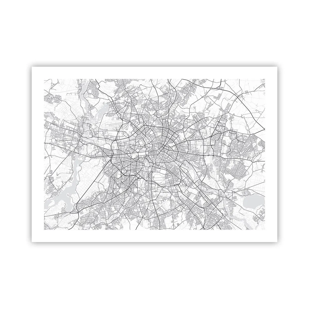 Poszter - Berlin virága - 70x50 cm