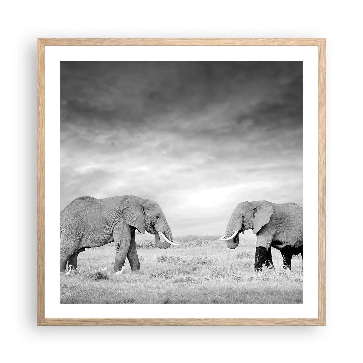 Poszter világos tölgy keretben - A szürke gyönyörű - 60x60 cm