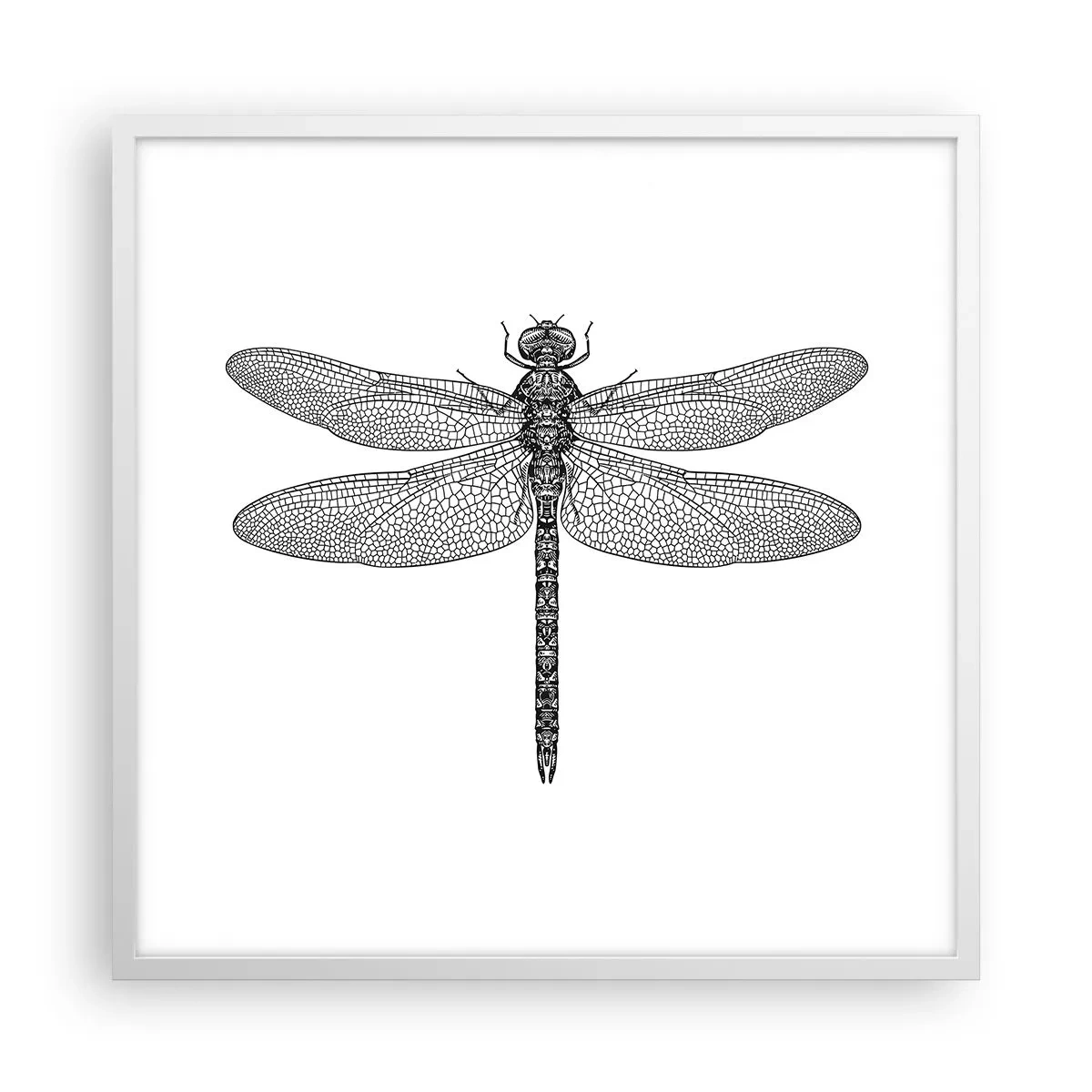 Poszter fekete keretben - A természet precizitása - 60x60 cm