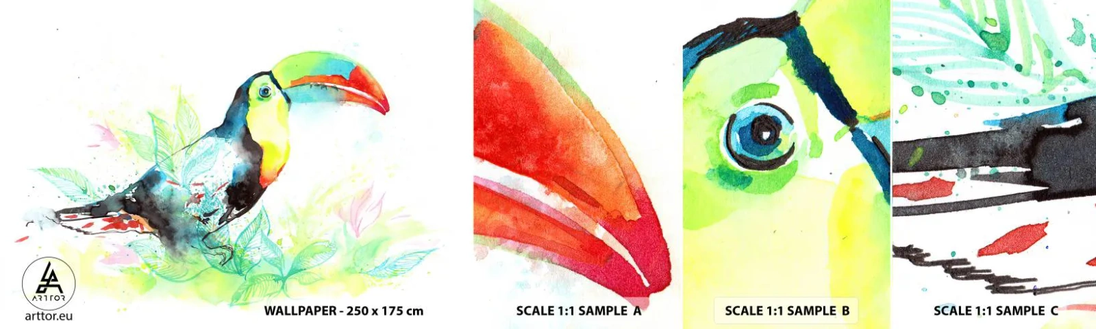 Fotótapéta Minta Standard Eco - Színes mint Dél-Amerika - Madár, Tukánmadár, Gyerekeknek - 100x30 cm