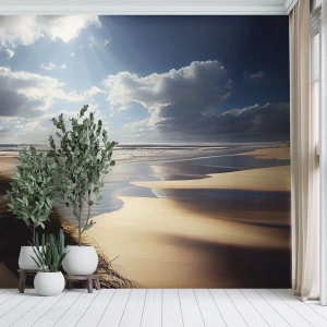 Fotótapéta Standard Eco - Tengerpart, vad tengerpart - Strand, Tenger, Dűnék - 250x175 cm