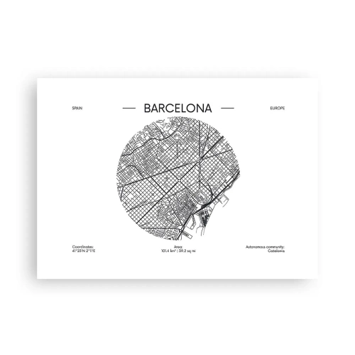 Poszter - Barcelona anatómiája - 70x50 cm