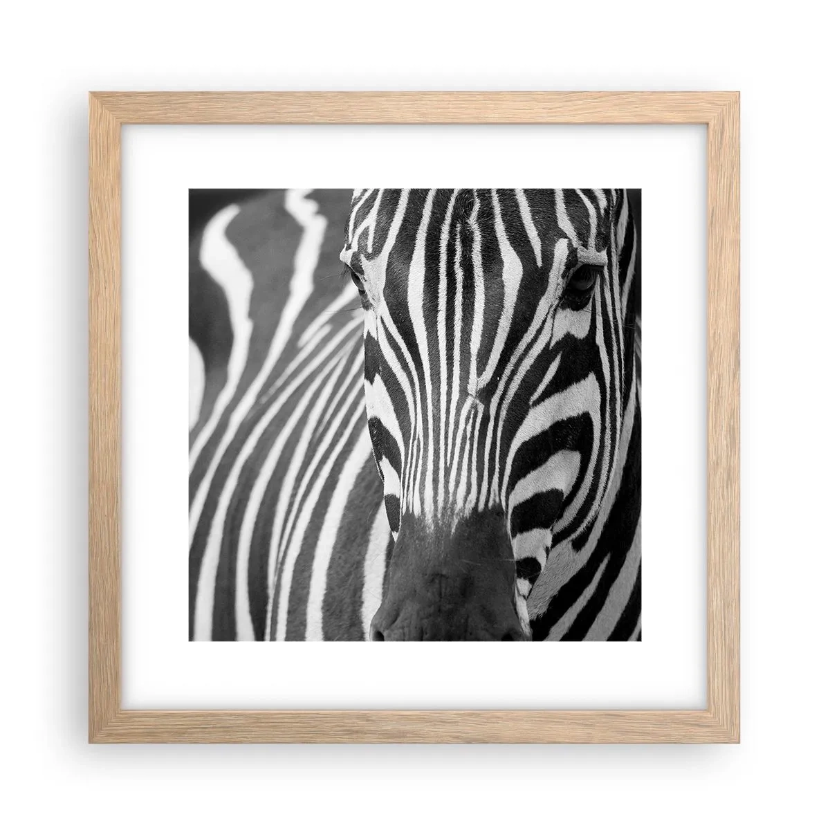 Poszter világos tölgy keretben - A világ fekete-fehér - 30x30 cm