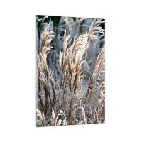 80x120 cm | Függőleges