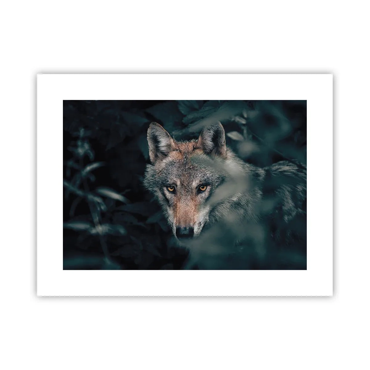 Poszter - Vadász - 40x30 cm