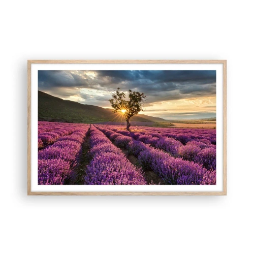 Poszter világos tölgy keretben - Lila színű illat - 91x61 cm