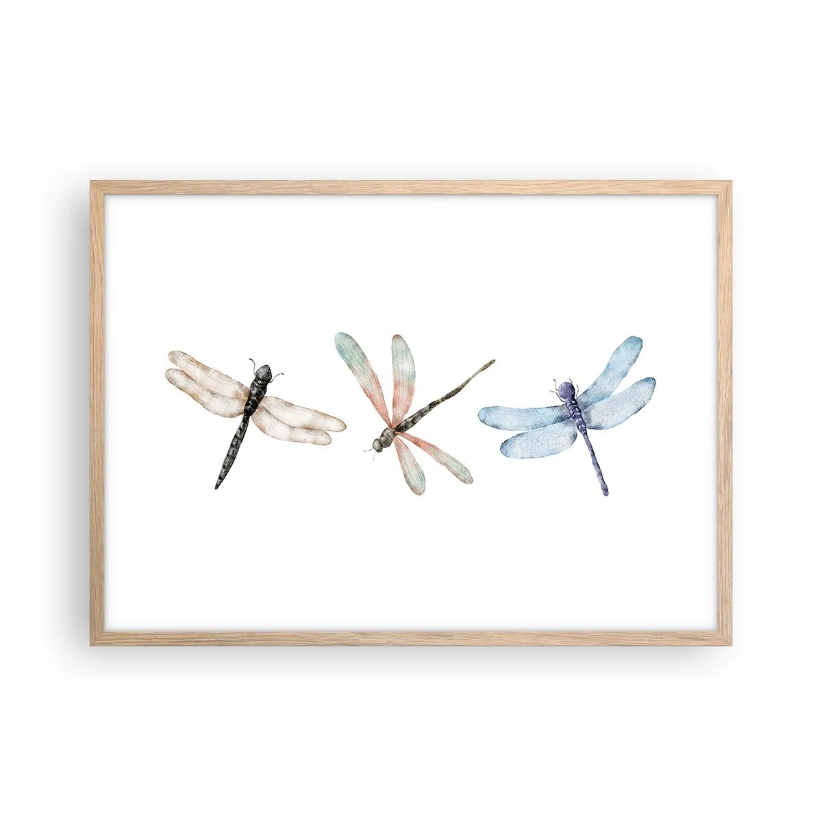 Poszter világos tölgy keretben - Súlytalan szitakötők - 70x50 cm