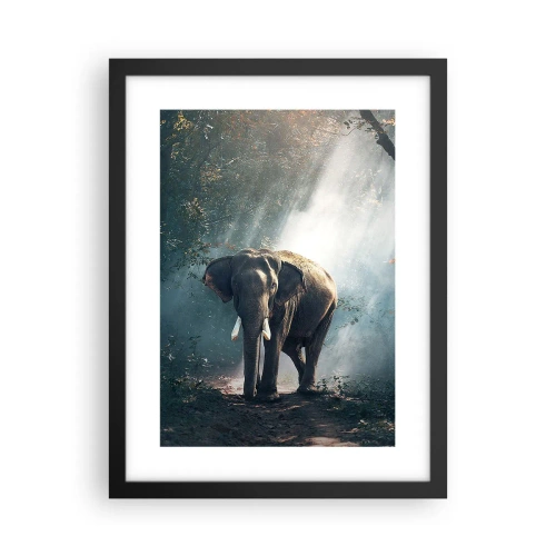 Poszter fehér keretben - Nyugodt séta - 30x40 cm