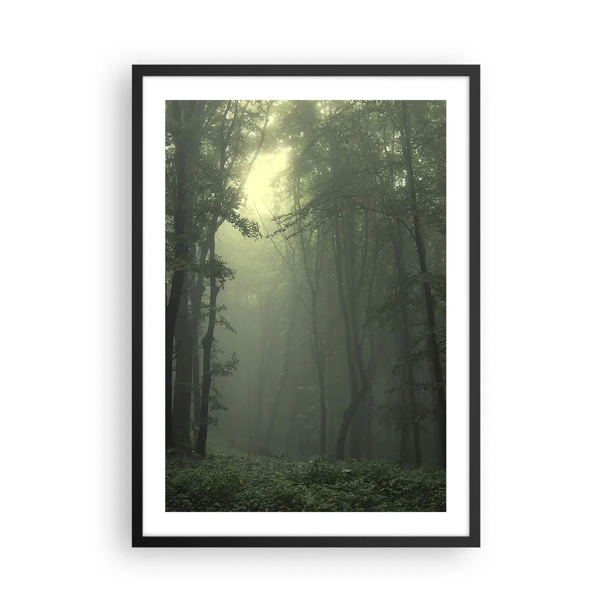 Poszter fehér keretben - Ködös fák egy zöld erdőben - 50x70cm - Mielőtt felébred - Modern fali dekoráció nappalihoz és hálószobához ARTTOR
