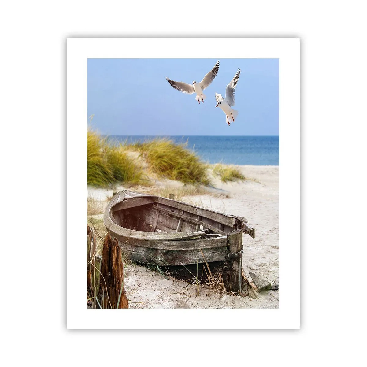 Poszter - Szélben fürödve - 40x50 cm