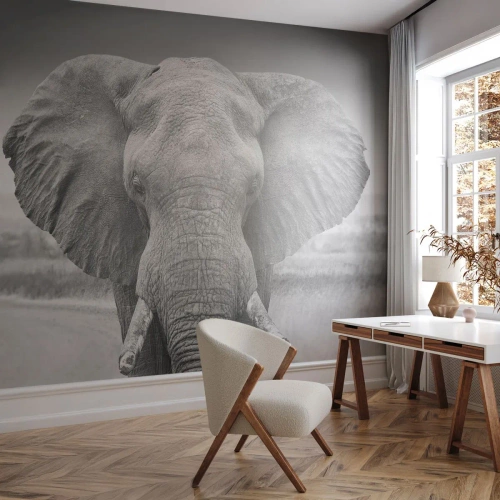 Öntapadós Fotótapéta Deluxe Sticker - Üdv a világomban - Elefánt, Afrika, Állatok - 300x210 cm