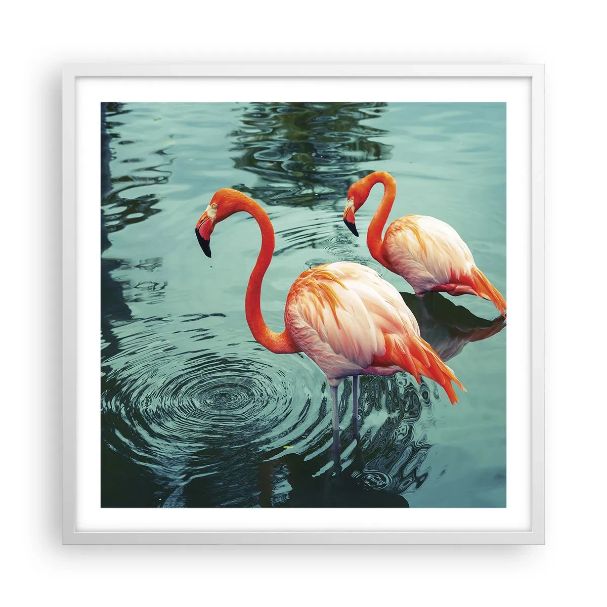 Poszter fekete keretben - Most divatban vagyunk - 60x60 cm