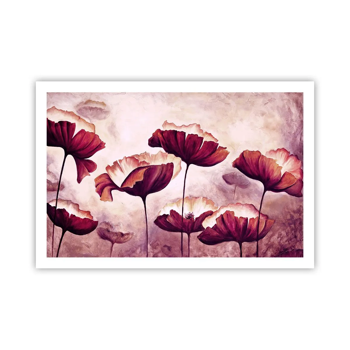 Poszter - Piros és fehér szirom - 91x61 cm