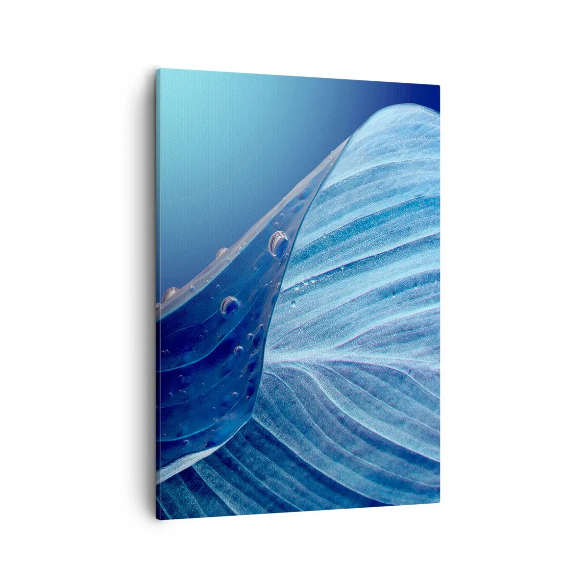 Vászonkép - A kék rejtett cseppjei - 50x70 cm