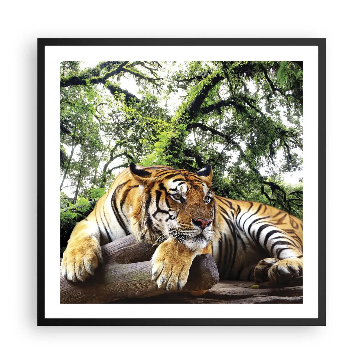 Poszter fehér keretben - Tisztelettel - 60x60 cm