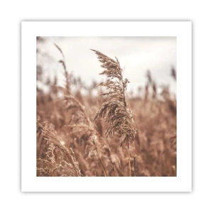 Poszter - Ősz van már a mezőkön - 40x40 cm