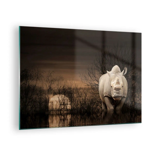 Üveg kép - Orrszarvú a lenyugvó nap ellen - 70x50cm - Fehér a természet ellen - Modern fali dekoráció nappalihoz és hálószobához ARTTOR