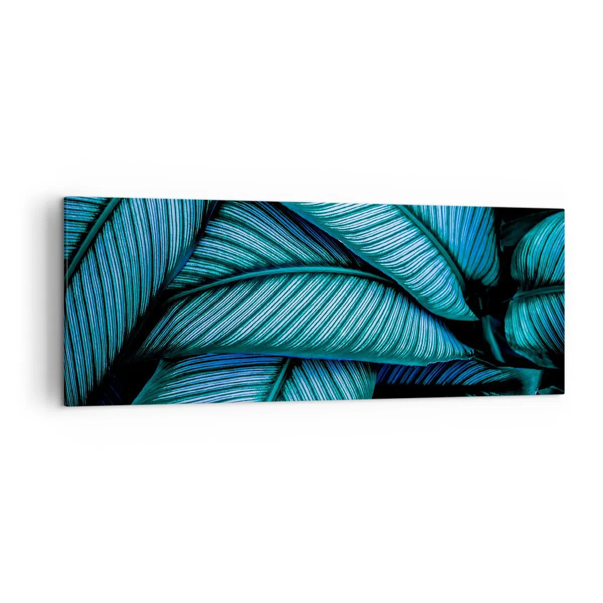 Vászonkép - Életvonalak - 140x50 cm