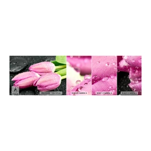 Fotótapéta Minta Öntapadós Deluxe Sticker - Lila hármas a fekete kövön - Virágok, Tulipánok, Csokor virág - 100x30 cm