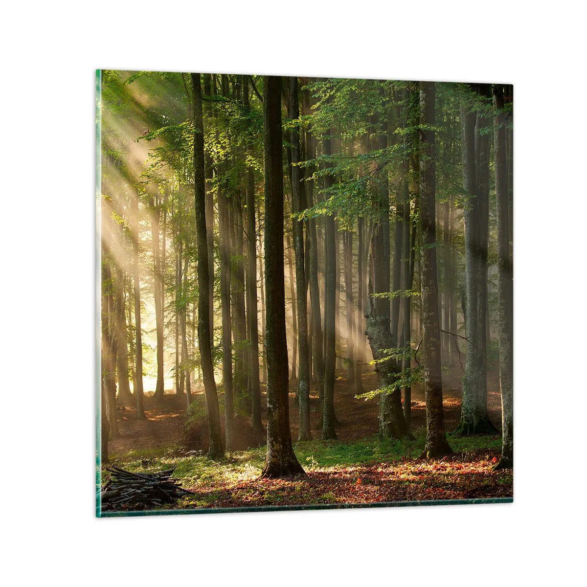 Üveg kép - Ragyogó tavaszi reggelen - 60x60 cm
