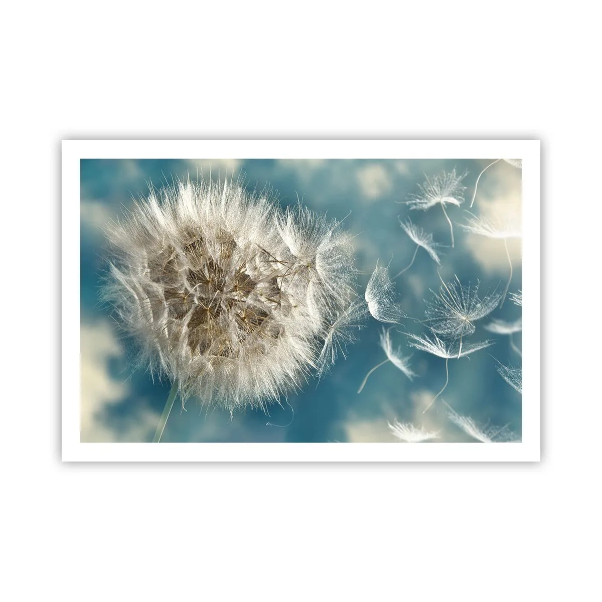 Poszter - Angyal lehelete - 91x61 cm