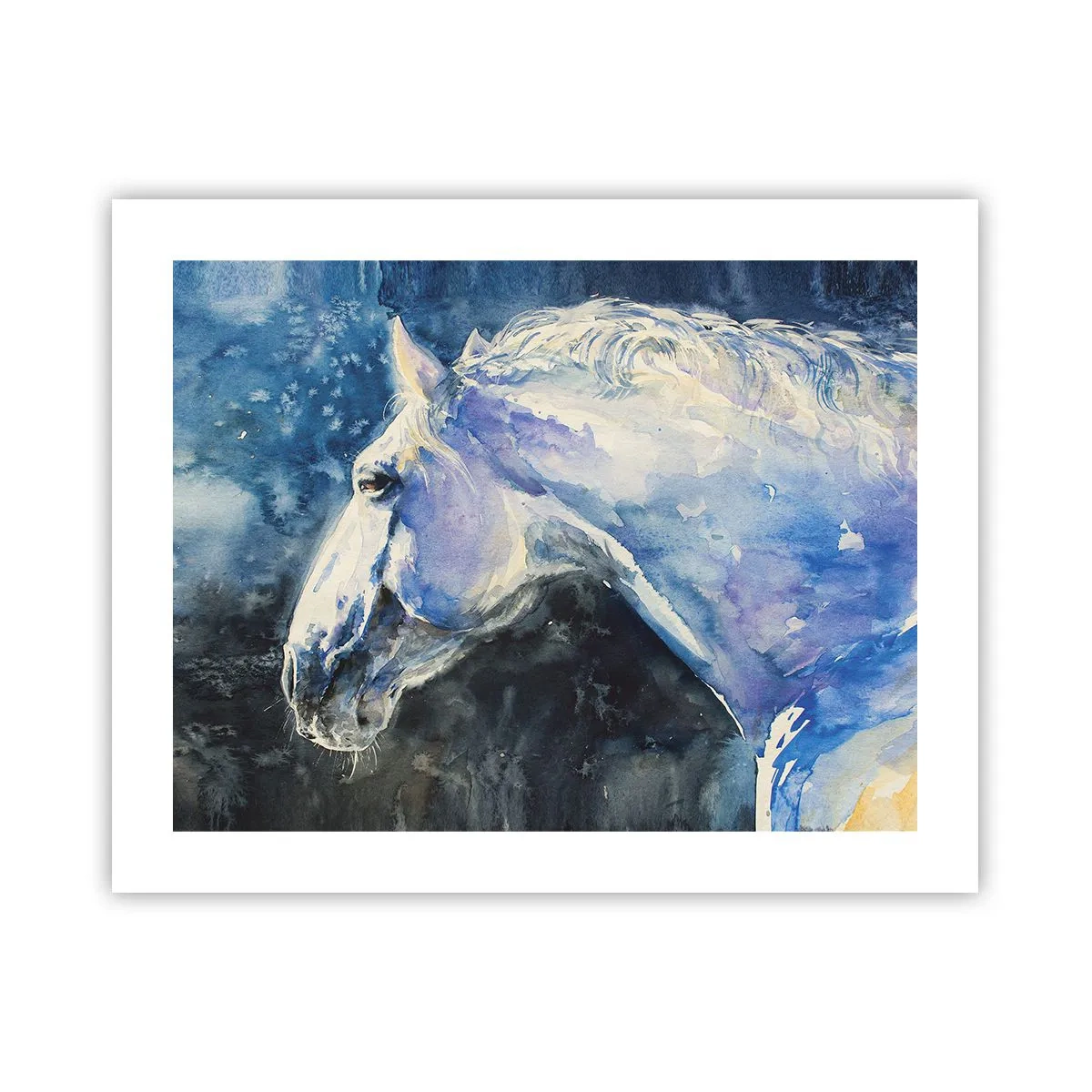 Poszter - Portré kék fényben - 50x40 cm