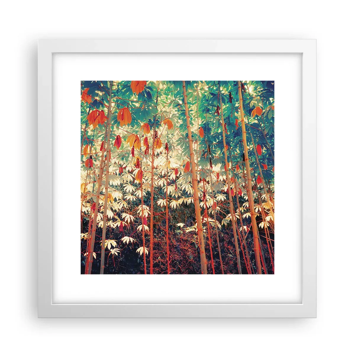 Poszter fekete keretben - A levelek titkos élete - 30x30 cm
