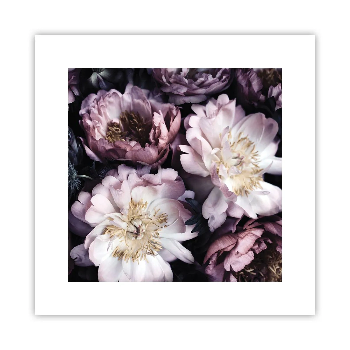 Poszter - Régi stílusú csokor - 30x30 cm