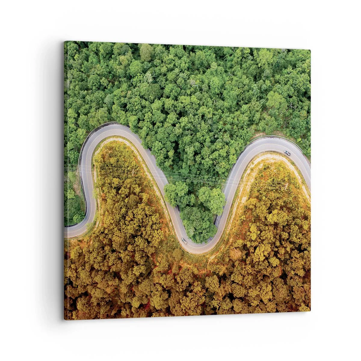 Vászonkép - Határok és áttörések - 60x60 cm