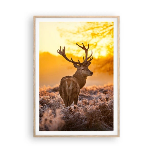 Poszter világos tölgy keretben - Az őszi erdő királya - 70x100 cm